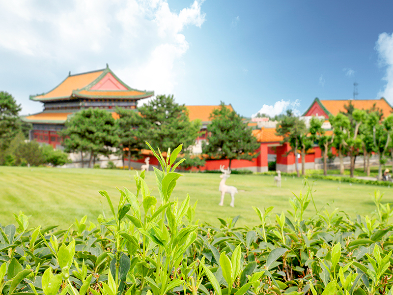 去八达岭公墓怎么走（ 墓地里的环境怎么样）